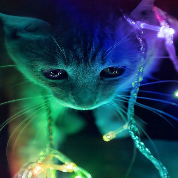 Meet your Posher, Marry - Picture 1 of 1